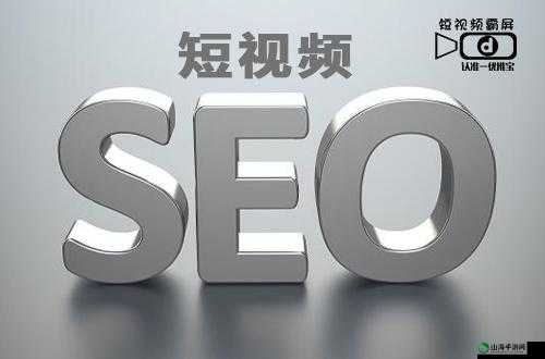 seo 短视频网页入口网站：轻松畅享短视频世界