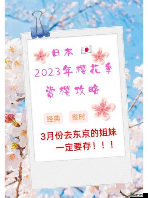 樱花官网官方入门网站 2023：开启精彩之旅