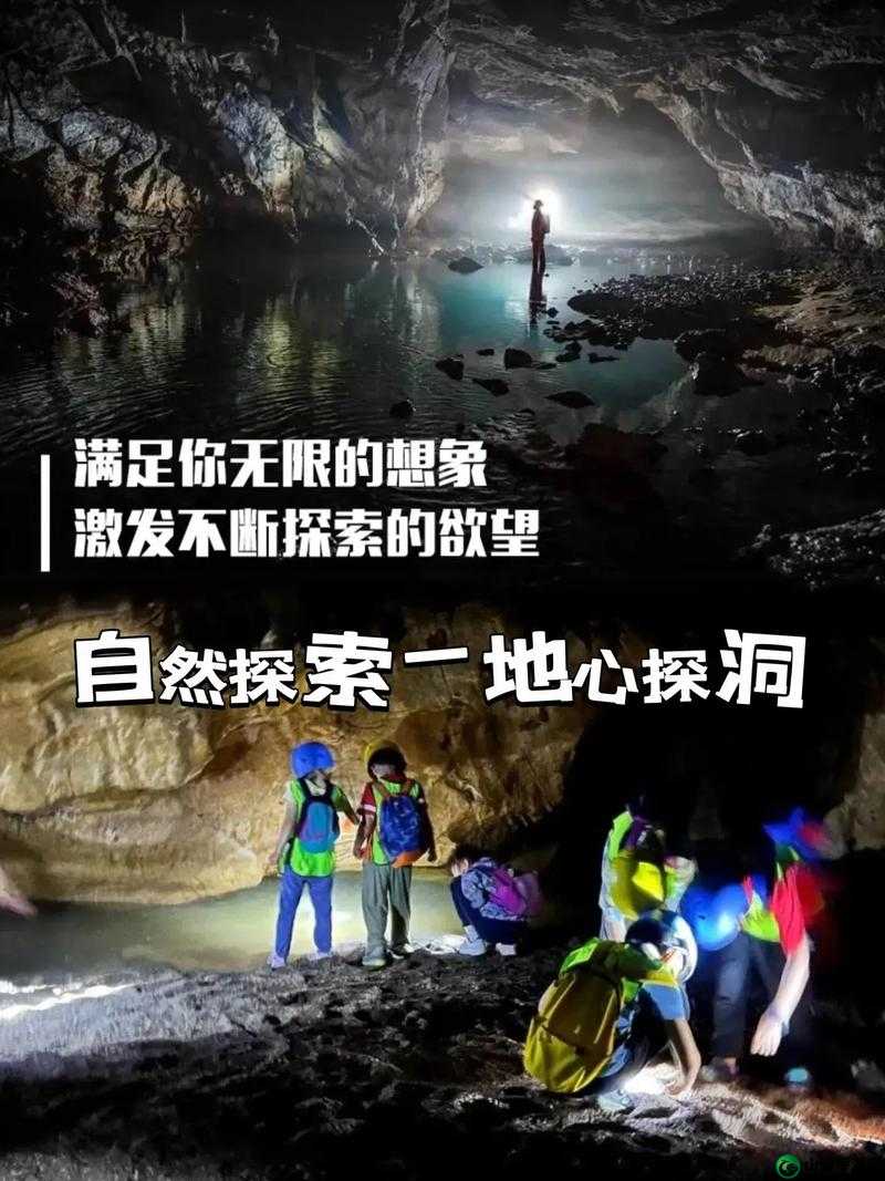 人与畜禽 corporation 中国：一场人与动物的奇妙旅程