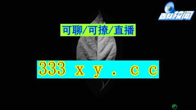 国际 B 站免费直播入口 MBA 智库精彩内容等你来