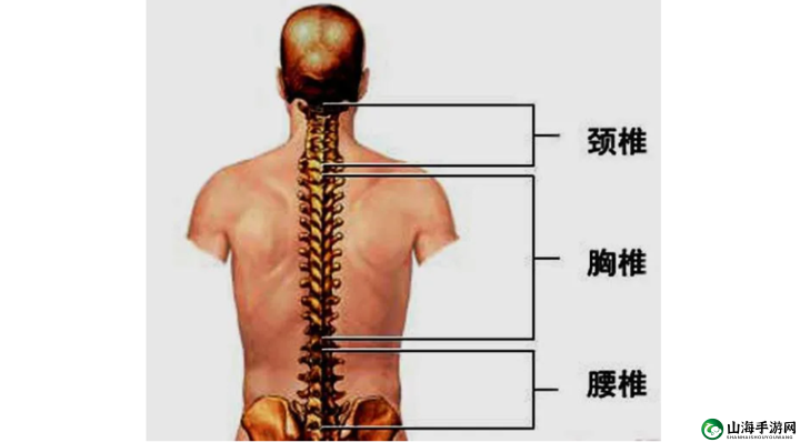 颈腰挺过那层薄膜：探索其背后意义