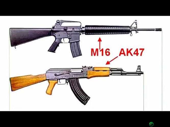 无限法则 AK-47：全面解析，了解这把步枪的属性和伤害