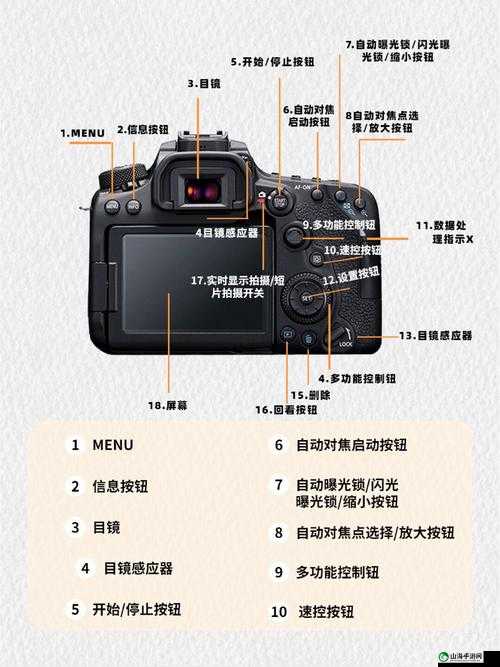 云游商人探索之旅：揭秘拍卖行与修仙云游的区别，卡牌深度解析