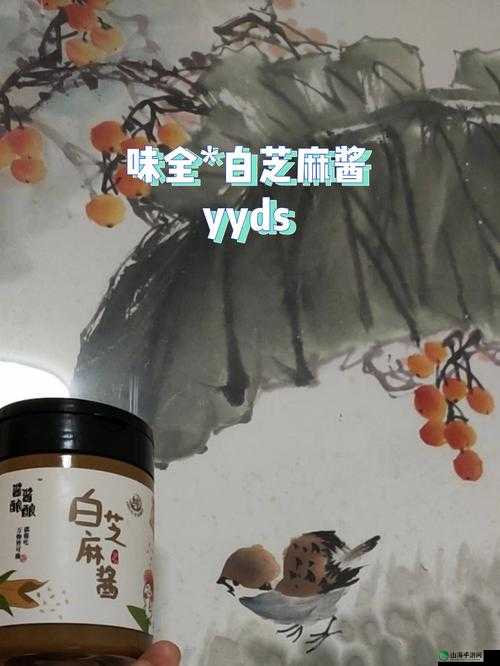 酿酿酱酱：一场美食与文化的奇妙碰撞