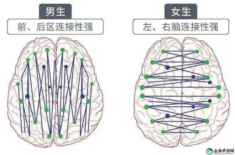 男女差异的秘密：原因、影响与应对策略