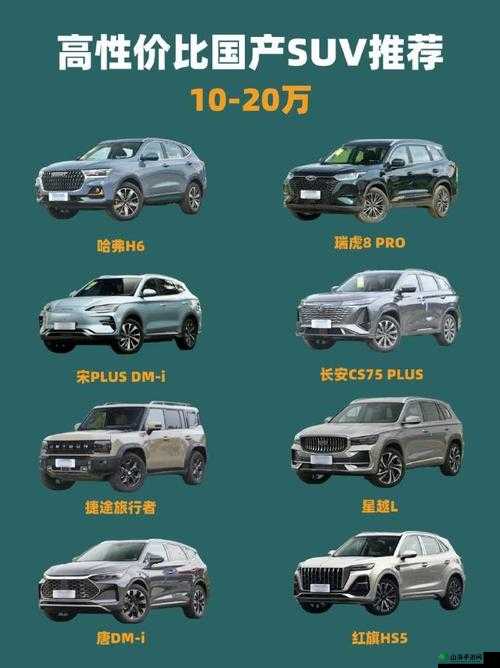 国产 SUV 精品一区二区 6：车型介绍