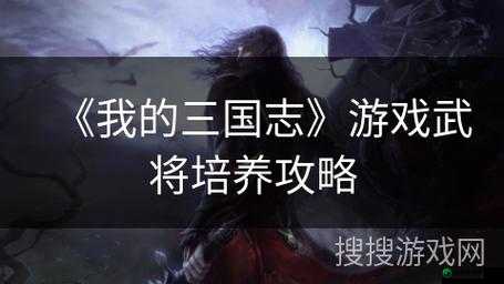 我的三国武将培养攻略