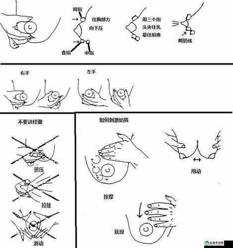 挤牛奶拔萝卜怎么拔：正确方法与技巧