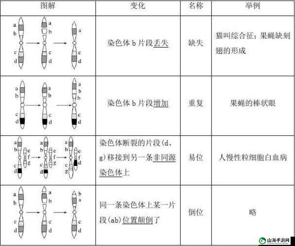 妖心基因变异探究公式揭秘