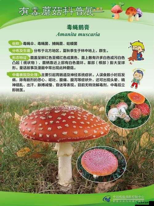 7x7x7x7x 任意槽蘑菇：探索未知的奇妙世界