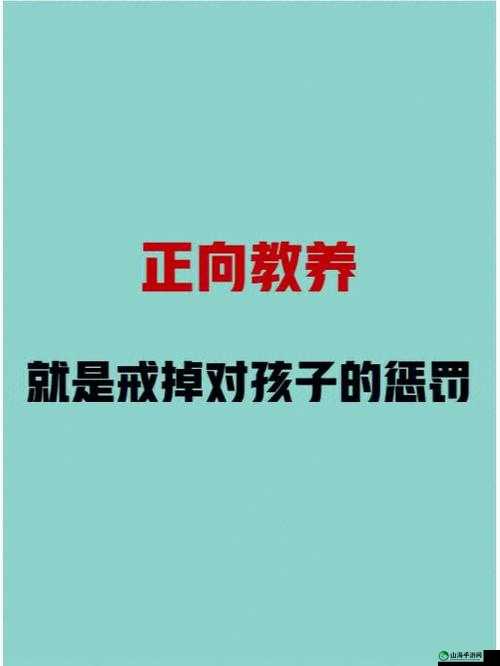 公开惩戒教养所：探寻其功能与意义