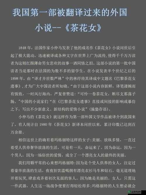 门卫老王和苏荷原文及翻译：他们的故事