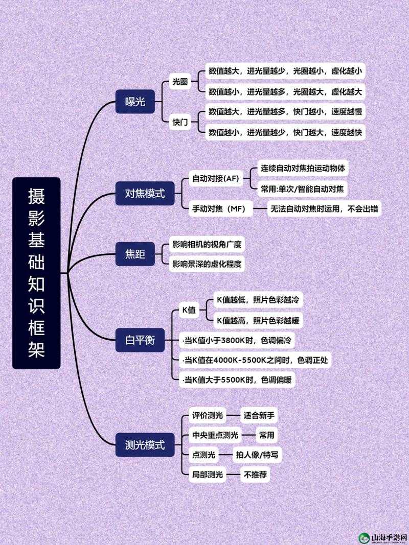 摄影艺术入门指南：从基础到进阶全攻略