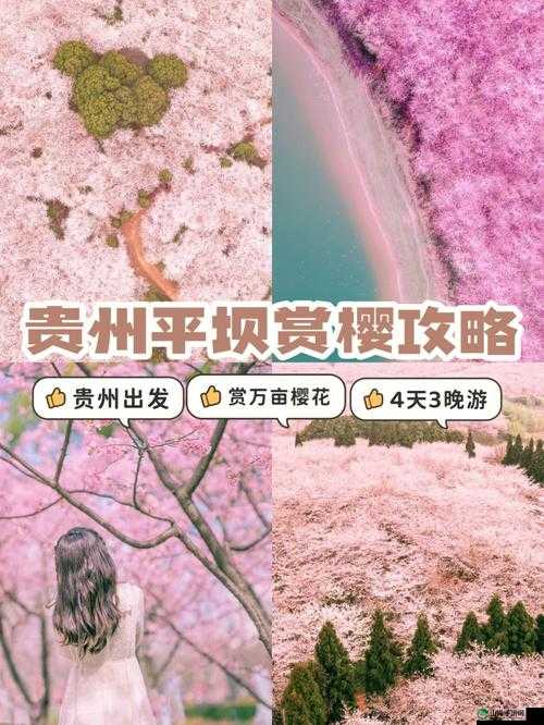 樱花岛网站怎么进入：探索未知的神秘世界