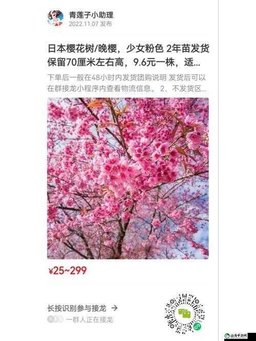 粉色水蜜桃和日本樱花区别：特征与差异解析