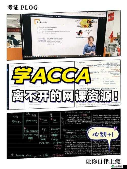 ACCA 少女网课韩国：内容引争议