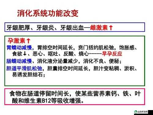 WHEELTPE 孕妇轮时间将获得延长：未来可期