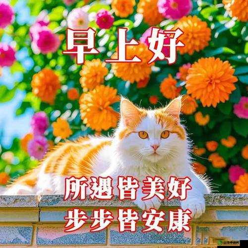 双龙入户三口齐进：共迎吉祥家宅兴