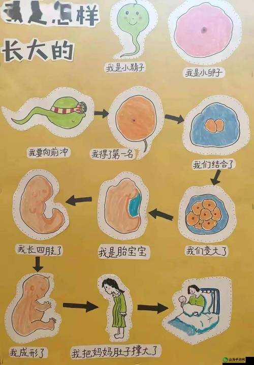 为什么那两瓣长长的垂下来：探秘其背后的秘密