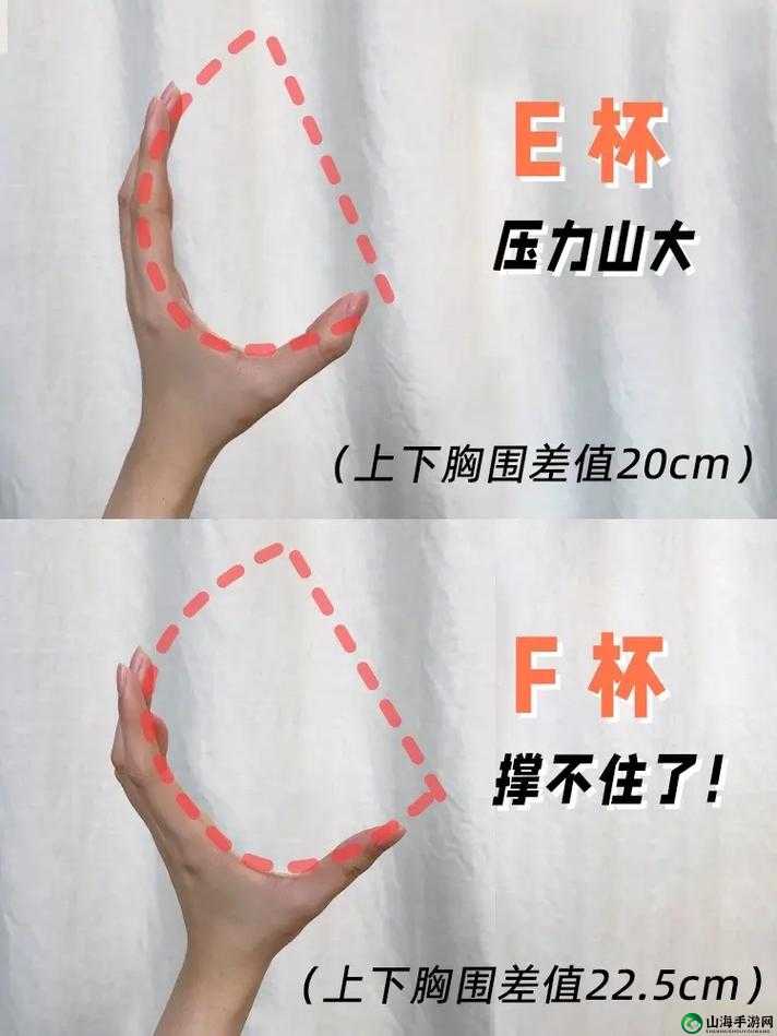 男人喜欢的胸围大小：一只手能握满吗？