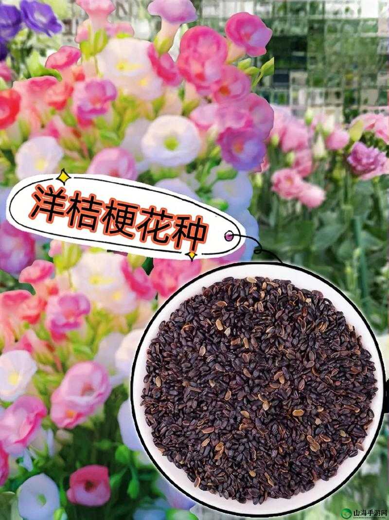 需要爸爸的种子来播种：种下亲情的希望