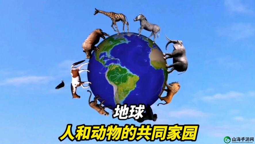 人马畜禽人：共筑和谐生态家园