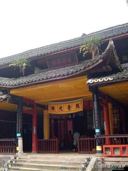 王氏寺庙快活几日：探寻寺庙生活的别样乐趣