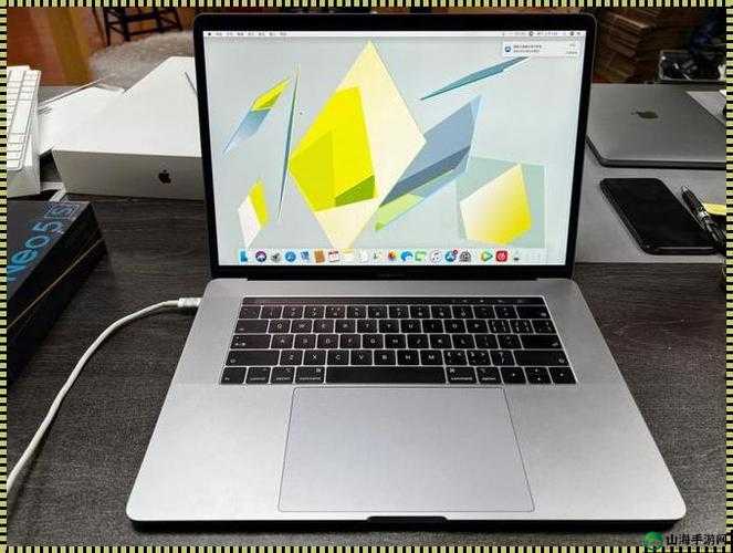 1819 岁拥有的日本 MacBook Pro