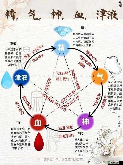 精 1 与精 2 的区别是什么