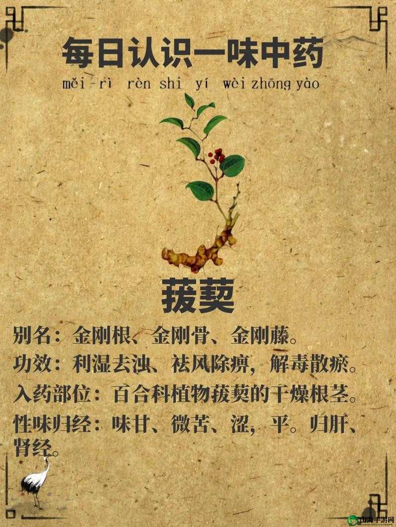 一吃就硬的草药：功效与作用介绍