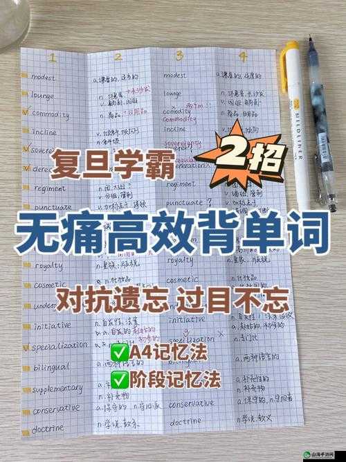 坐在学霸的大紫根上背单词：学习新体验